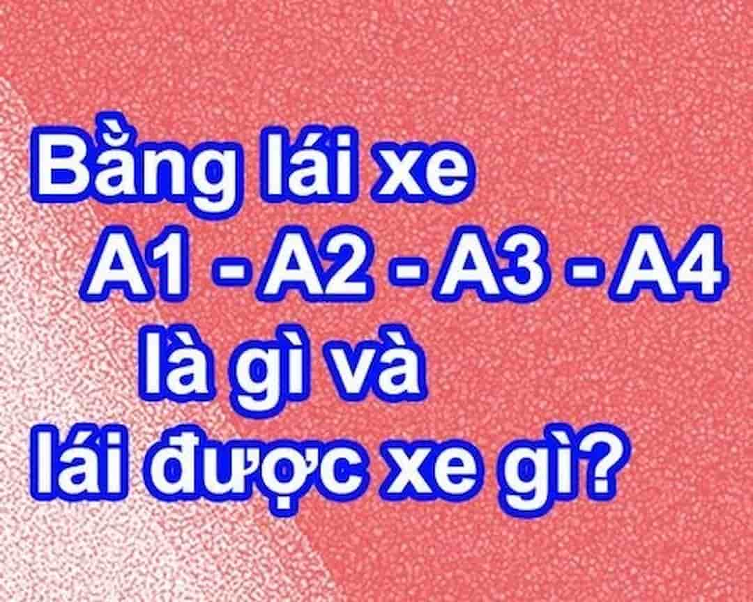 Bằng A1 lái xe gì là vấn đề nhiều người đang thắc mắc 