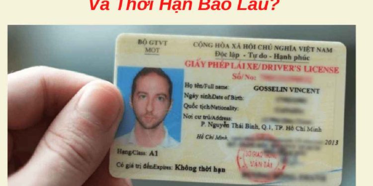 Quy trình xác định thời hạn sử dụng bằng A1