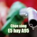Xăng e5 và a95 nên chọn loại xăng nào cho xe của bạn?